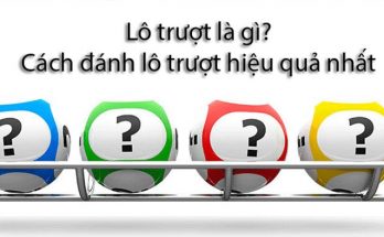 Khái niệm và các loại lô xiên quay
