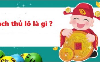 Bạch thủ lô là gì?
