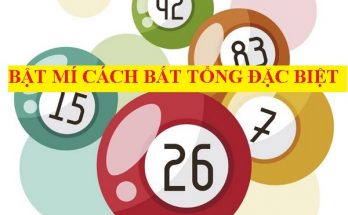 Bật mí 3 cách bắt tổng đặc biệt khi chơi lô đề miền Bắc