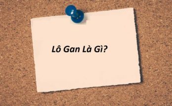 lo gan la gi