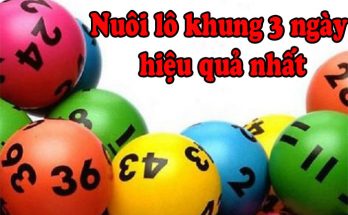 Nuôi lô khung 3 ngày
