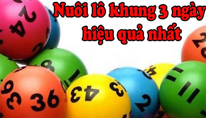 Nuôi lô khung 3 ngày